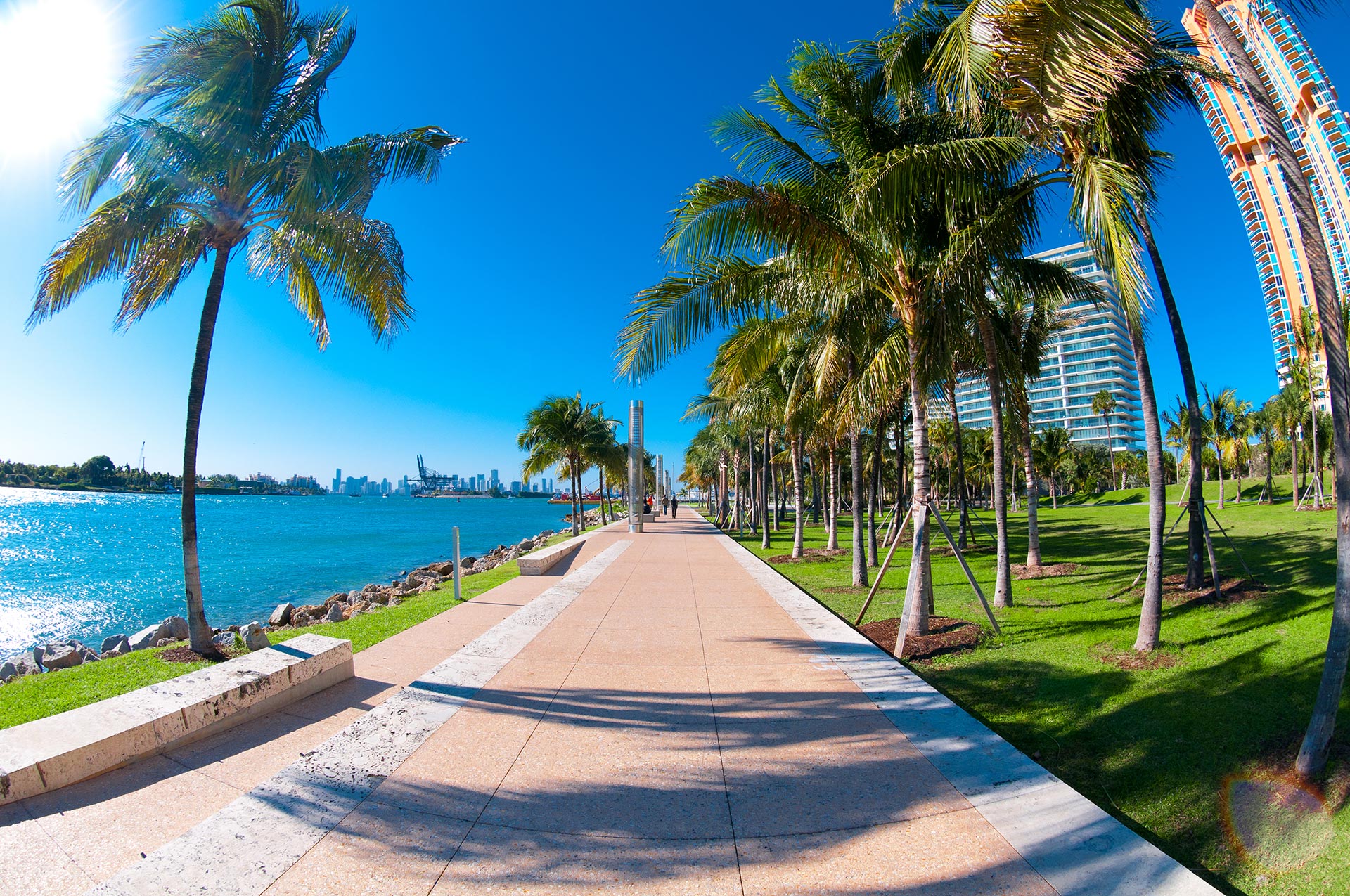 What to Do in South Beach in February