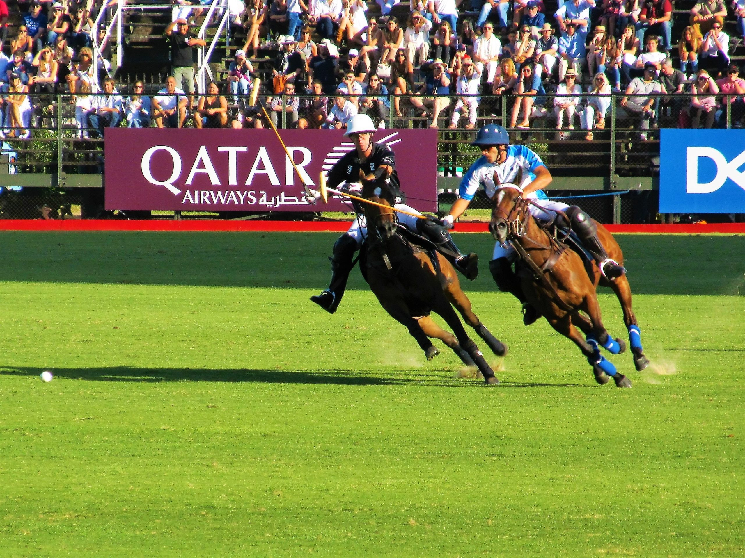 Polo World Cup