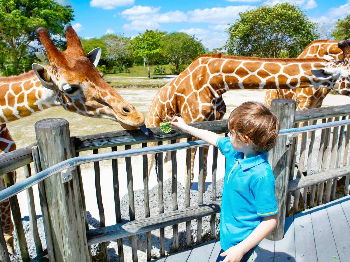 The Best Free Parks for Your Kids in Miami