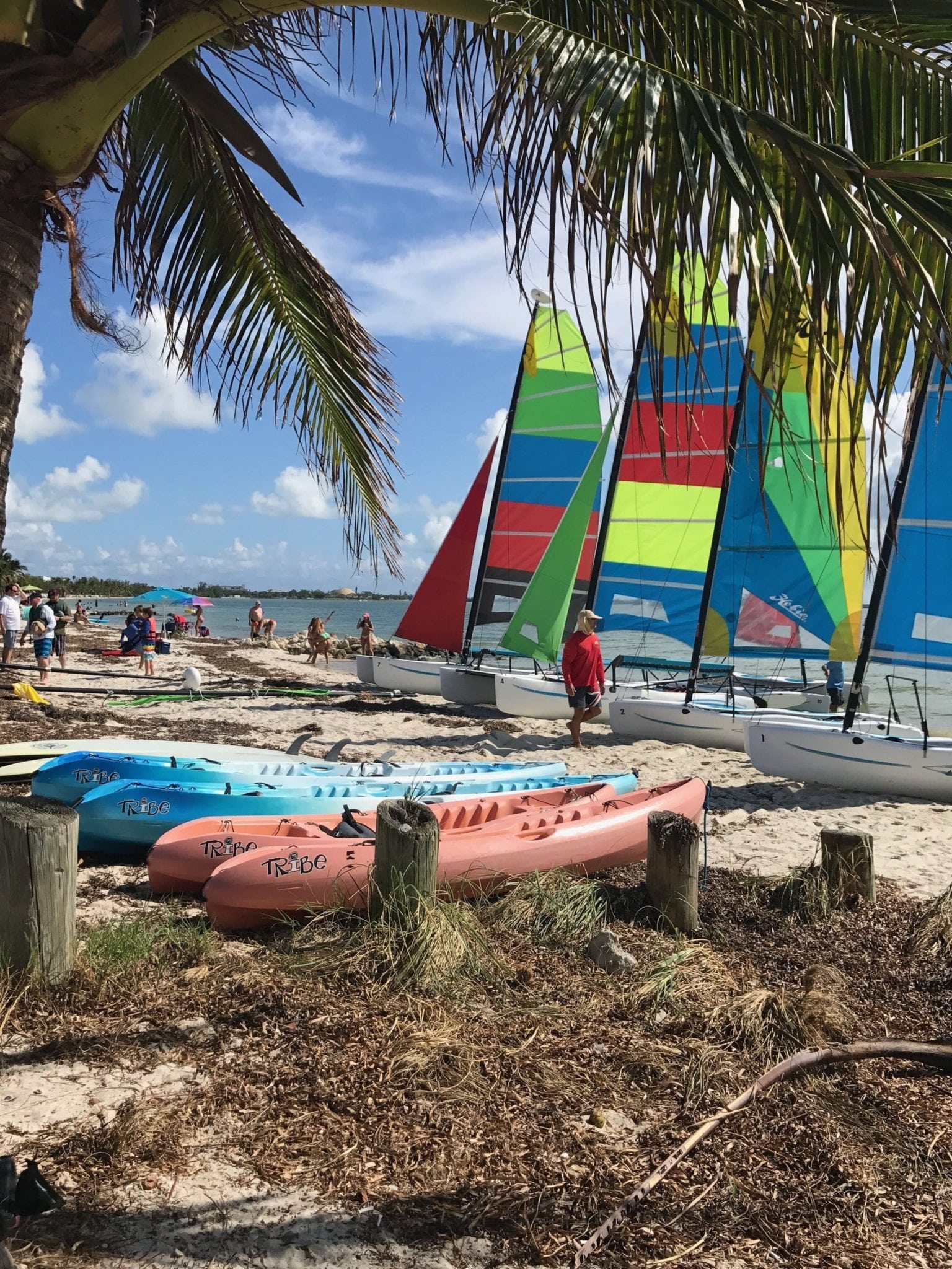 Where to windsurf in South Beach Miami